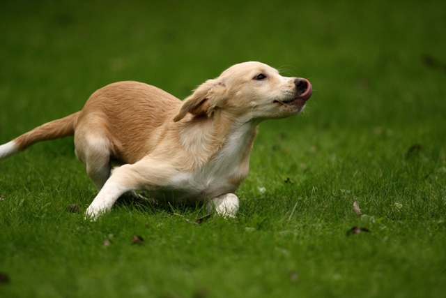 10_09_18_Pinsel_242.jpg