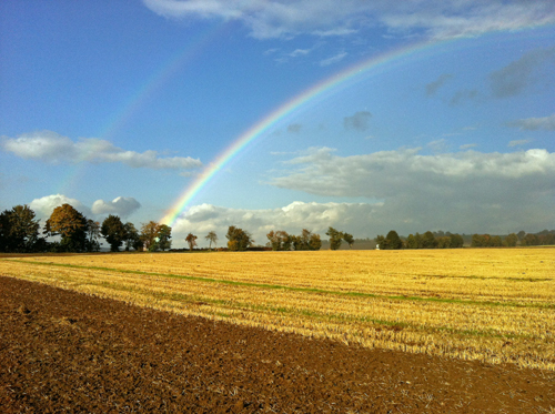 Regenbogen 001.jpg