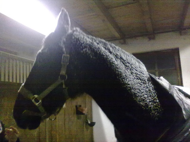 Januar 2012 014_klein.jpg