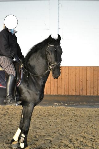 dsc0022psm[1].jpg