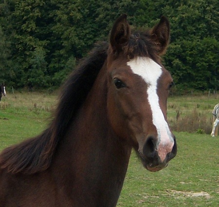 20.09.2008 039.jpg