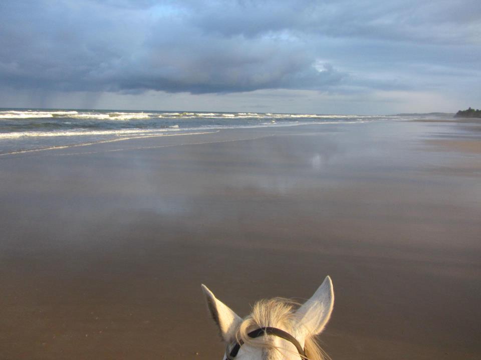 Strand Düllo.jpg