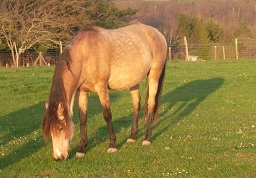 SAM_1913.JPG