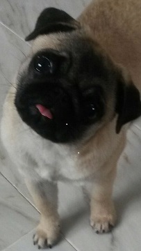 Foto 2.JPG