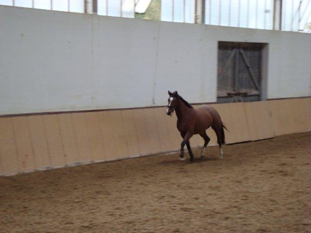 DSC02355.jpg