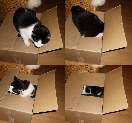kartonkater.jpg