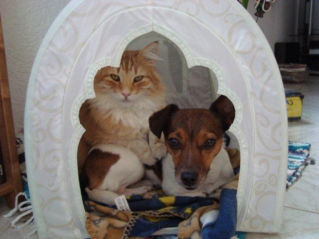DSC00808.jpg